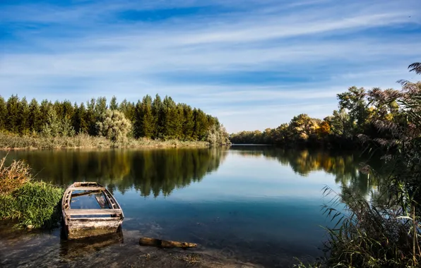 Picture the sky, landscape, nature, lake, river, tree, boat