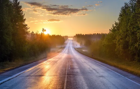 Road, summer, fog, morning