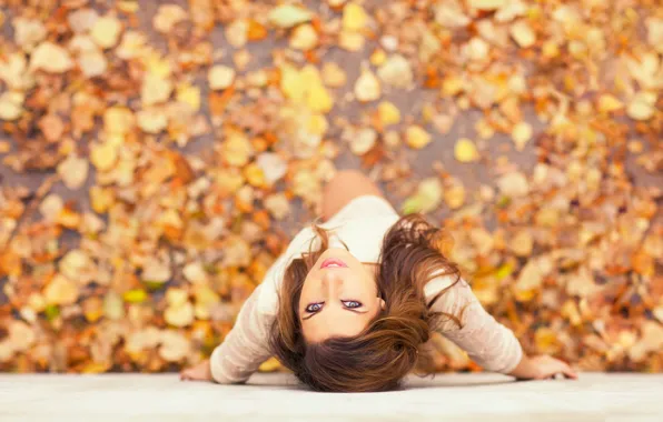 Autumn, look, girl, portrait, bottom, bokeh