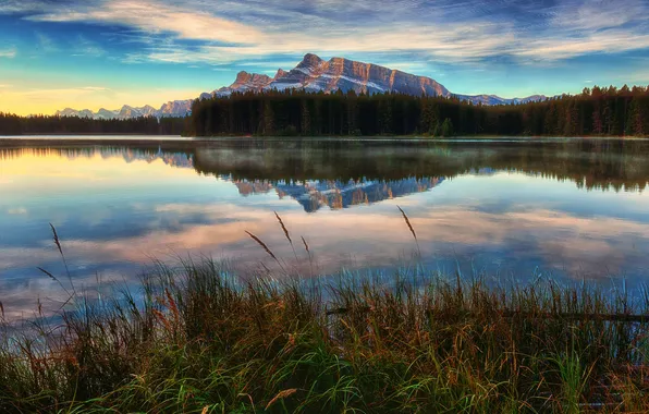 Grass, lake, reflection, mountain, Break of Dawn at Two Jack