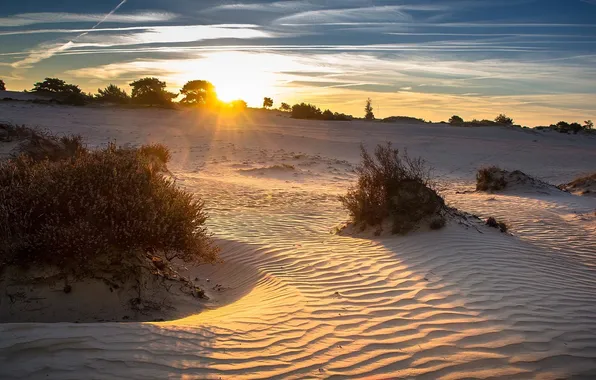 Landscape, nature, morning