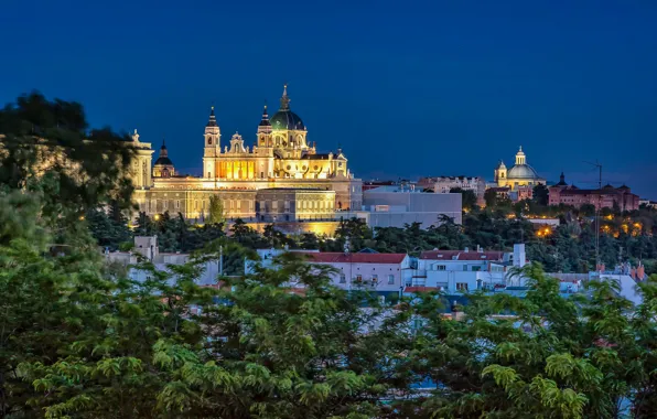 Picture trees, building, home, night city, Spain, Spain, Madrid, Madrid