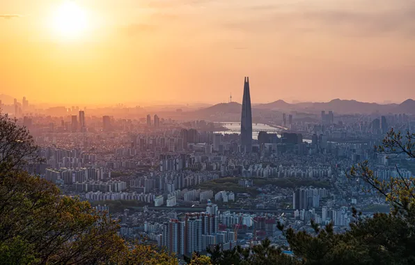 South Korea, Neolmuni, Gyeonggi