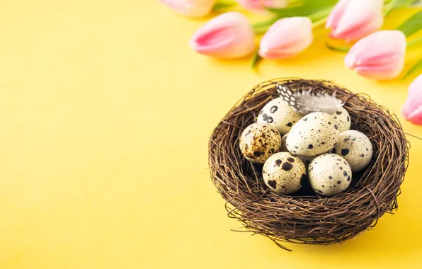 Flowers, holiday, eggs, spring, Easter