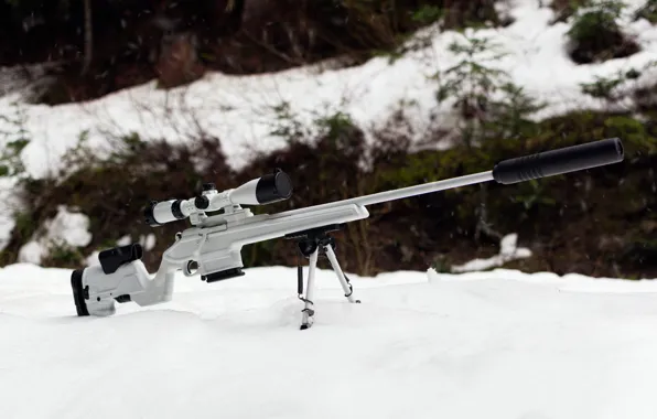 Picture winter, white, snow, weapons, optics, rifle, sniper, Mosin