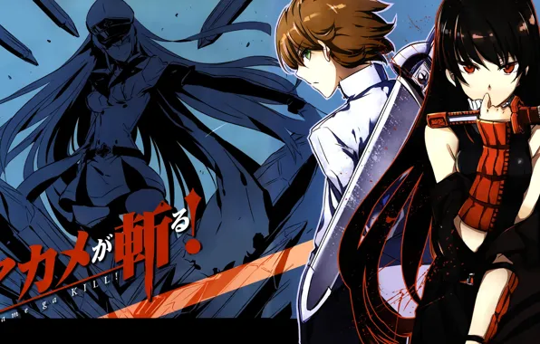 Art, akame GA kill, akame ga kill