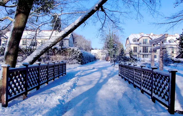 Park, winter, snow