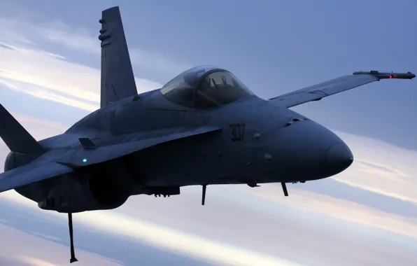 The sky, aviation, the plane