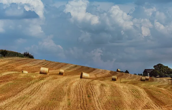 Field, the sky, clouds, strip, slope, cleaning, space, hay