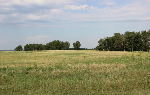 Summer, the sky, clouds, yellow, green, heat, horizon, spaces