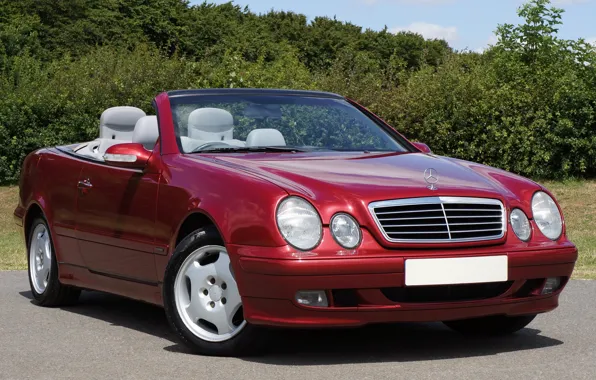 Machine, landscape, nature, Mercedes-Benz, convertible, car