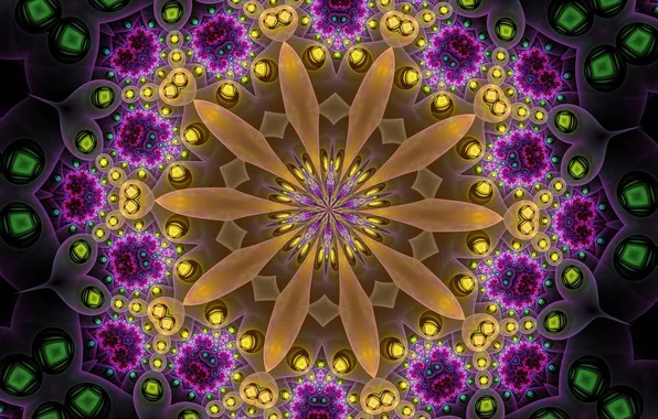 Flower, pattern, the volume, symmetry