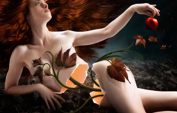 Leaves, girl, apples, plant, stem, split