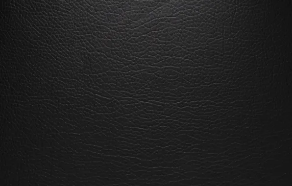 Picture background, texture, leather, black, black, texture, background, leather