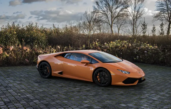 Picture Lamborghini, Orange, Huracan, LP610-4