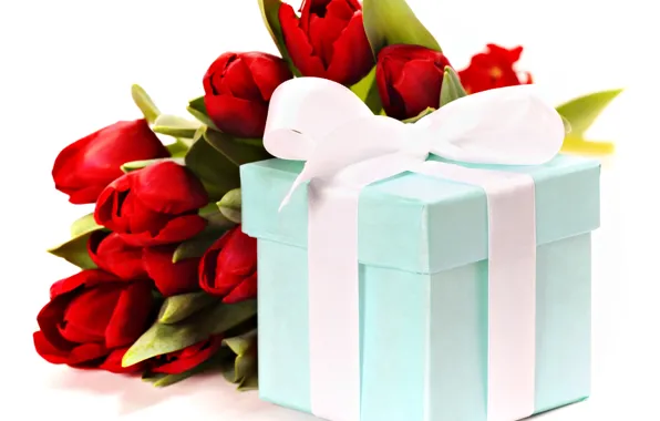 Holiday, gift, bouquet, tape, tulips, red, Natalia Klenova