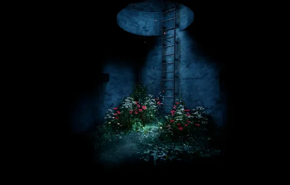 Flowers, shadow, the tunnel, ladder, сталкер2