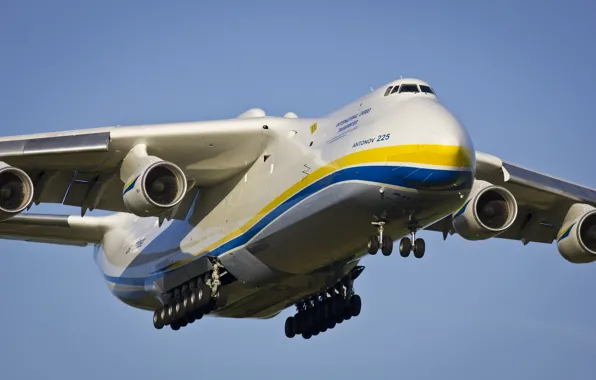 Picture the plane, The an-225, Cargo