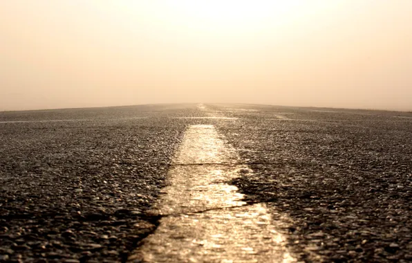 Road, the sun, fog