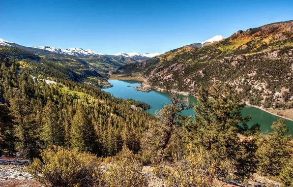 Picture forest, Colorado, Colorado, Rocky mountains, Lake San Cristobal, Rocky Mountains, Hinsdale County, lake San Cristobal