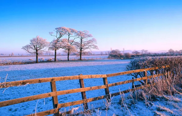 Picture winter, frost, field, the sky, snow, trees, the fence