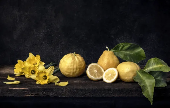 Flowers, the dark background, Board, yellow, fruit, still life, lemons, daffodils