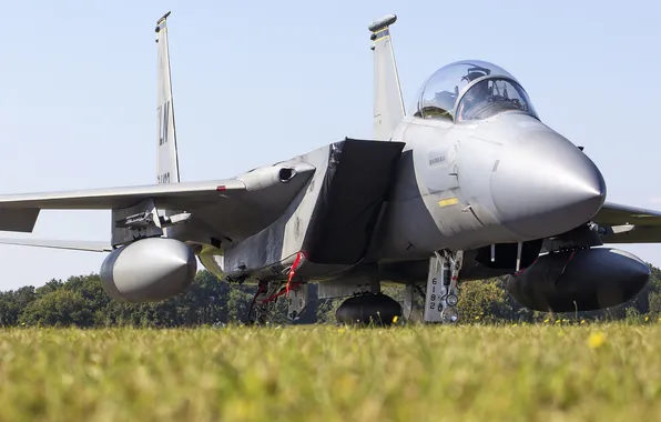 Picture fighter, cabin, Eagle, "Eagle", F-15D