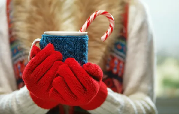 Picture winter, hands, mug, winter, mittens, cup, cocoa, drink