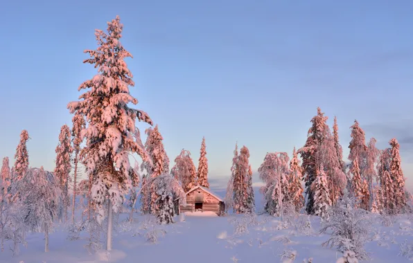 Winter, snow, trees, lighting, the barn