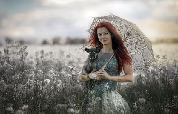 Picture dog, umbrella, lady