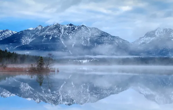 Picture winter, forest, water, clouds, snow, trees, mountains, fog