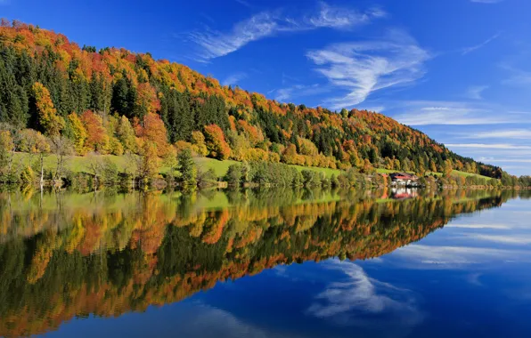 Autumn, forest, the sky, leaves, clouds, trees, lake, reflection