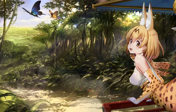 Girl, anime, tail, pretty, asian, japanese, buterfly, bakemono