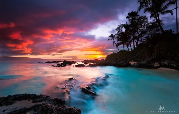 Picture sunset, palm trees, Hawaii, photographer, Kenji Yamamura, Secret Beach, otrov Maui