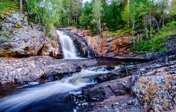 Picture forest, rocks, Norway, river, Kjørstadelva