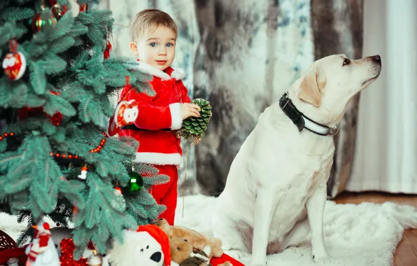 Look, pose, room, toys, child, dog, boy, Christmas