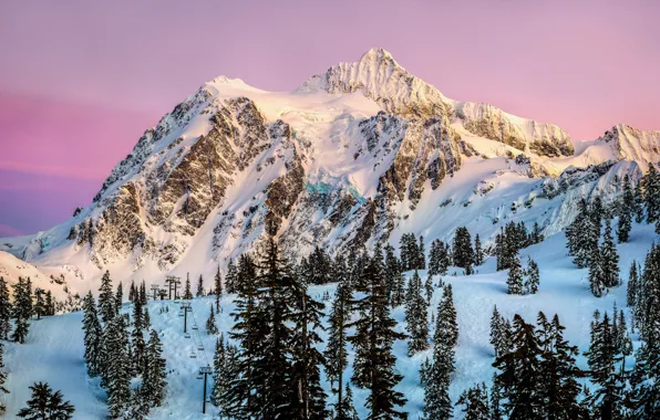 Winter, forest, the sky, sunset, the evening, pink, USA, resort