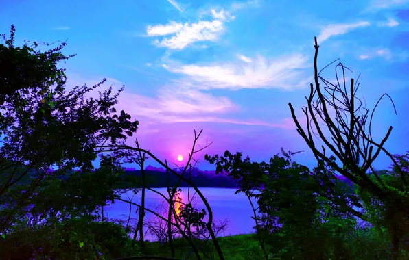 Sun, Water, Sunrise, Dawn, Morning, Lake, Trees, Reflection