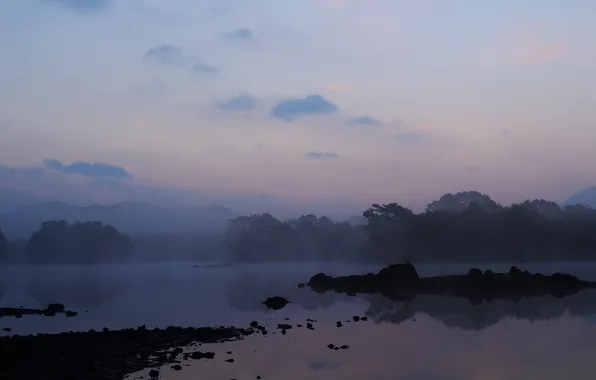 Picture trees, fog, lake, dawn, Islands