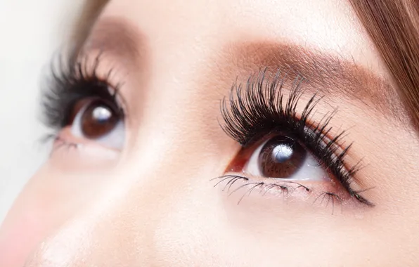 Eyes, girl, macro, eyelashes, Asian, brown eyes