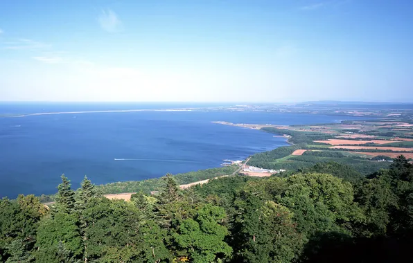 Sea, the sky, trees, horizon, Landscape