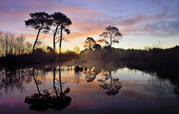 Landscape, lake, morning