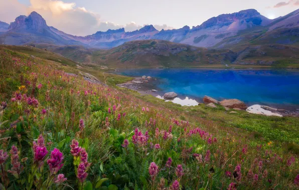 Picture the sky, flowers, mountains, stones, shore, tops, slope, pond