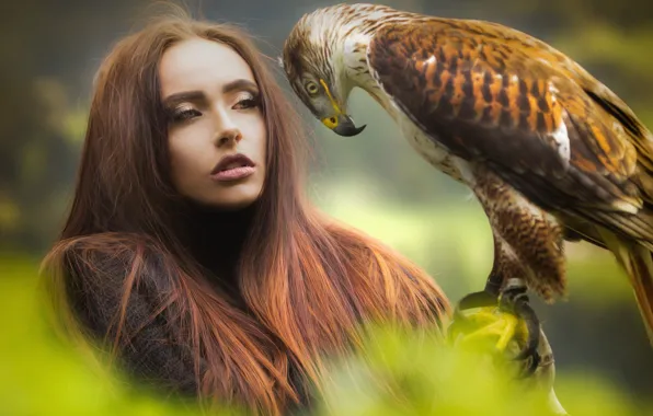 Picture look, girl, bird, hair, beautiful, hawk, Joachim Bergauer