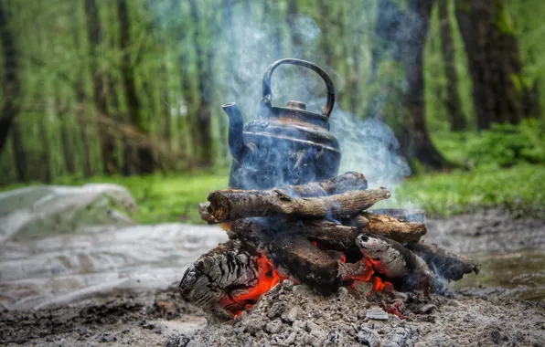 Forest, smoke, kettle, the fire, wood, coal