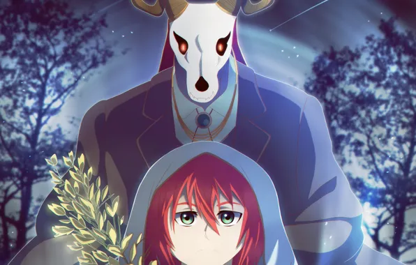 Night, Mahou Tsukai no Yome, Bride of the sorcerer, Chise, Elias