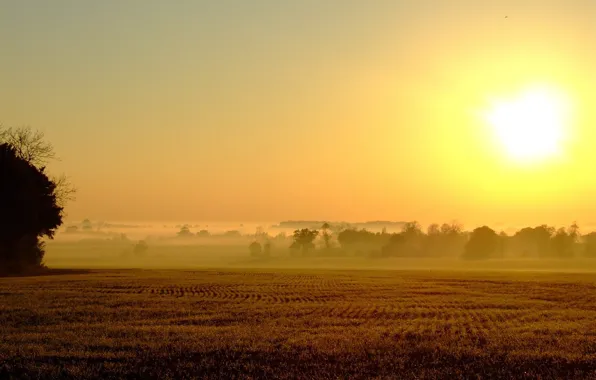 Picture field, the sun, fog