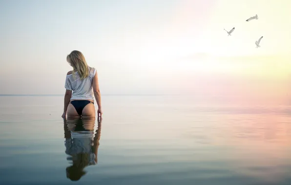 Sea, ass, the sky, sunset, birds, panties, seagulls, figure
