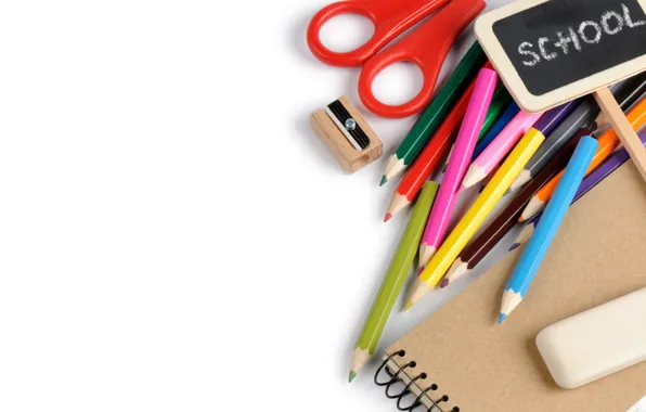 Pencils, white background, notebook, colorful, scissors, sharpener, accessories, school