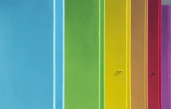 Color, texture, form